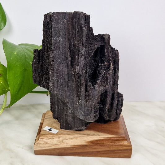 Schwarzes Feenholz D