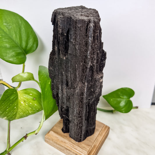 Schwarzes Feenholz C