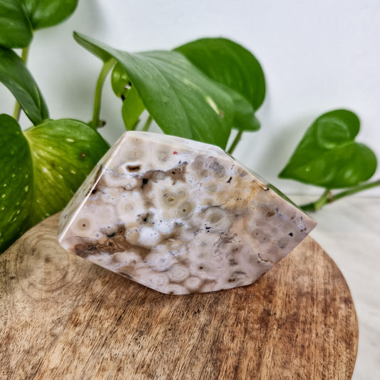 Ozean Jaspis Freiform